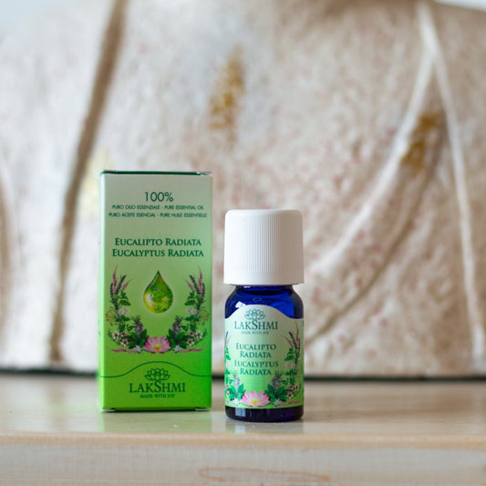 Eucalyptus Radiata Essentiële Olie | 10 ml